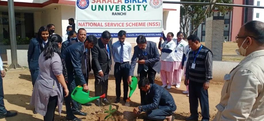 nss plantation program